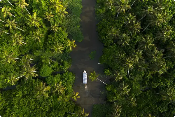 Alleppey